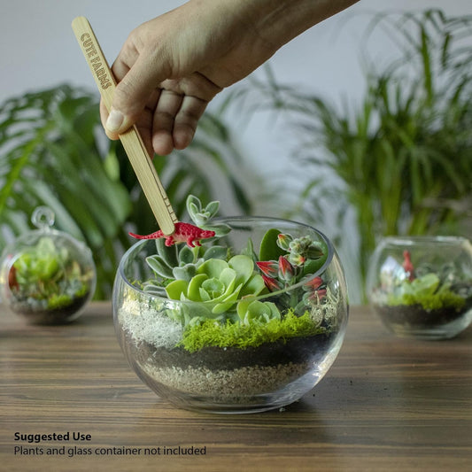 Cute Farms Terrarium Starter Kit | Moss, Vermiculite, Soil, Pebbles, Plant Food, & Finishing Tools (Large Kit + Crystals)