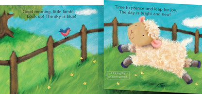 Piggy Toes Touch and Feel Storybook