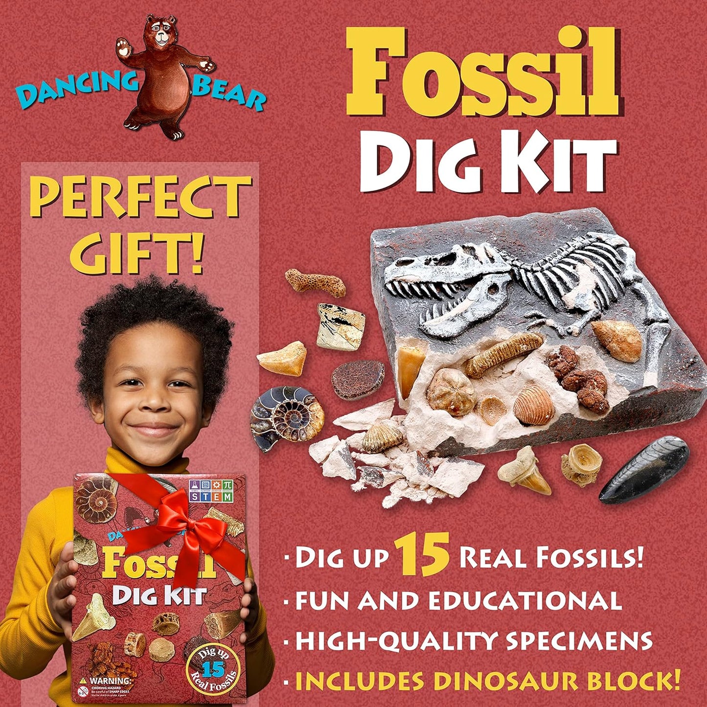DANCING BEAR Fossil Dig Kit, Excavate 15 Prehistoric Fossils including Real Dinosaur Bones, and Shark Teeth, Paleontology STEM Education for kids, Fun Science Activity Gift Sets for Girls and Boys