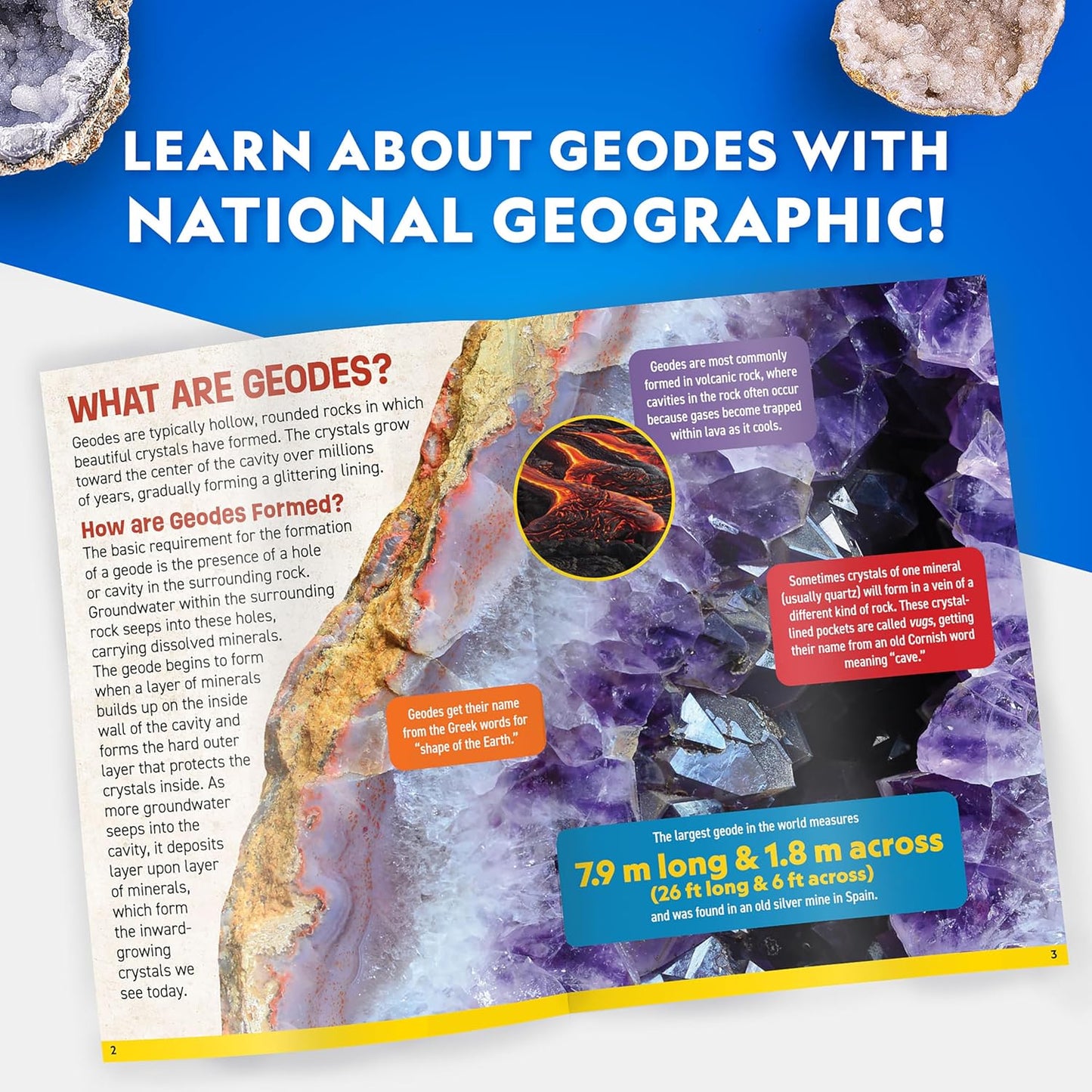 National Geographic Break Open 10 Premium Geodes – Includes Goggles & 2 Display Stands - Great STEM Science Kit, Geology Gift for Kids, Break Your Own Geodes with Crystals