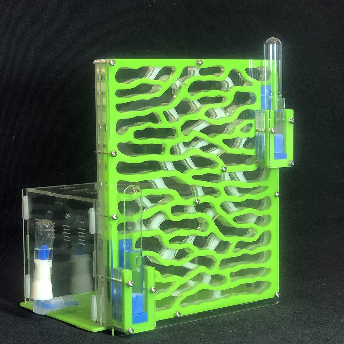 19.5 * 15 * 22cm Large Viewing Area - Care for Live Ants,moisturing arylic ant Habitat for STEM Learning (Green)