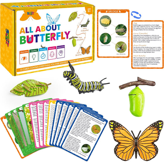 15 Plant Life Circle Flashcards with 4 Plastic Figurines-Seed to Plant, Plants Introduction Card Plants Growth Details for Nature Lovers & Adults, Montessori Toy for Kids