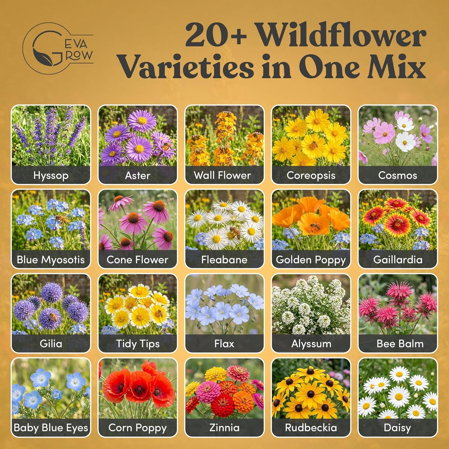 Mini Wildflower Seed Shaker - Save The Bees Seed Mix, by GevaGrow | 80,000+ Seeds | Pollinator & Bee Attracting Flower Seeds Bulk for Planting in Pots & Outdoor Gardens | 2 Ounce
