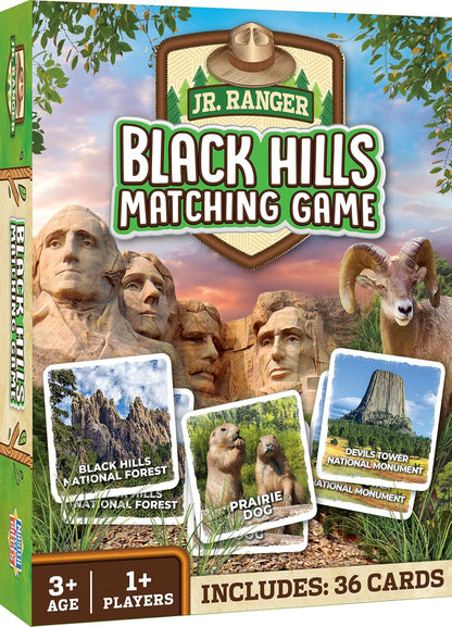 MasterPieces Officially Licensed CAT Picture Matching Card Game for Kids and Families