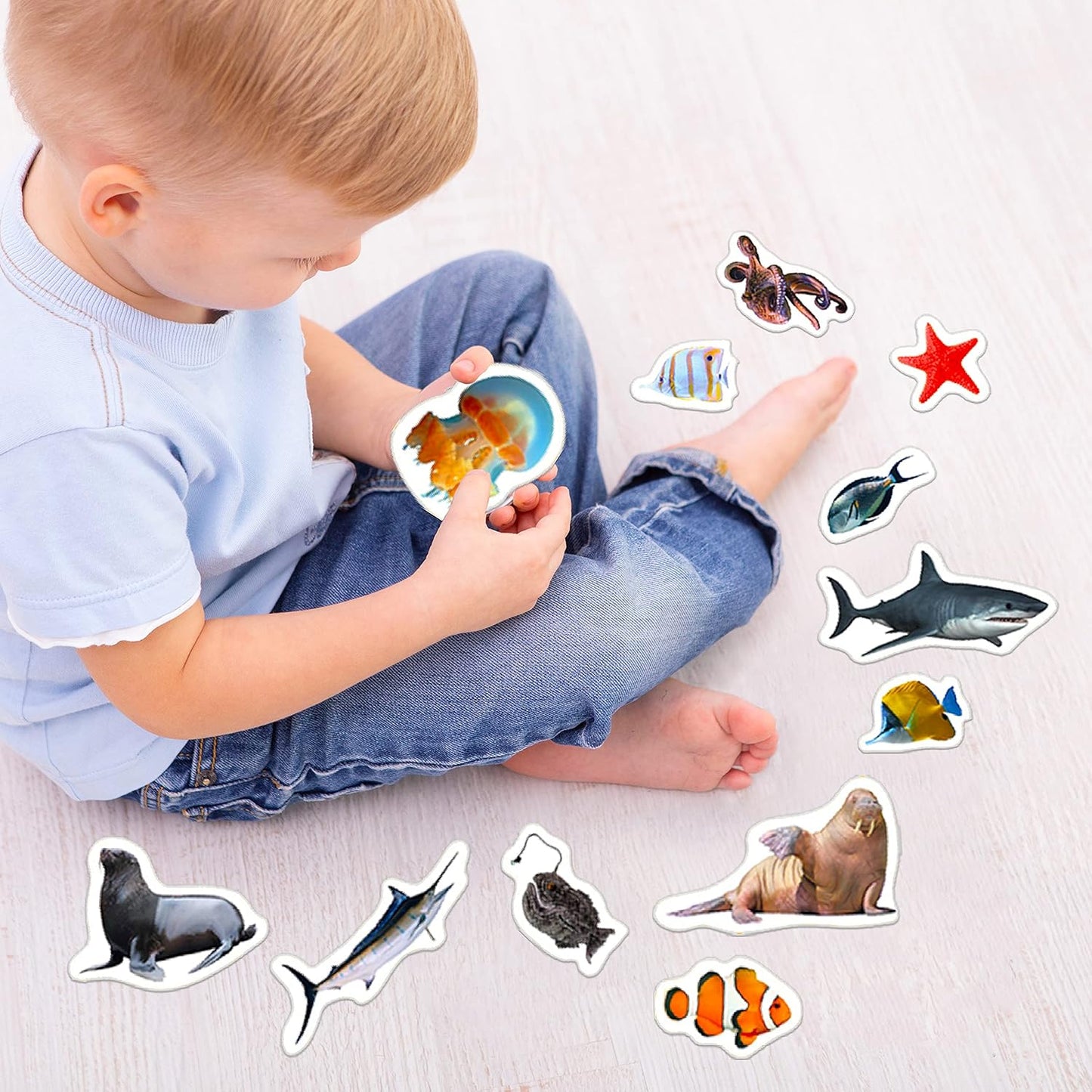 25 Fridge Magnets for Toddlers - Birds Photo Kids Magnets for Refrigerator – Real Magnetic Animals for Children – Big Realistic Magnet for Kids - Learning Toy Set - Baby Educational Gift