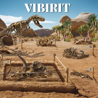 VIBIRIT Dig Up Dinosaurs Skeleton Set,Dinosaur Digging Fossil Kit Model Toys,Excavation Kits for kids5-12year,Educational Realistic Toys for Kids,Boys,Girls