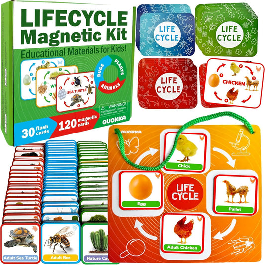 QUOKKA Life CycleToys for Kids - 30 Flashcards Toddler Science Kit Ages 2-4 - Pre-k Plant Animals Nature Learning Materials 3-5 - 120 Magnetic Flash Cards for Preschool and School (Part 2)