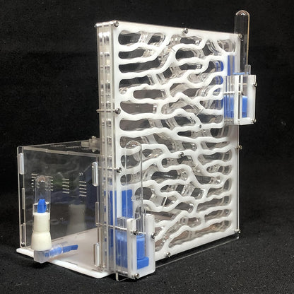 19.5 * 15 * 22cm Large Viewing Area - Care for Live Ants,moisturing arylic ant Habitat for STEM Learning (Green)