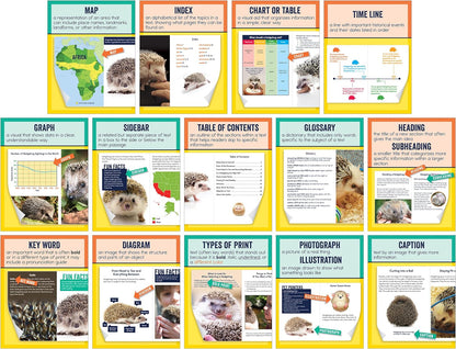 Carson Dellosa 14-Piece Mathematics Strategy Posters, 8.5" x 11" Wall Art Ten Frame, Counting, Number Line, Math Manipulatives, Facts, and More Strategies, Classroom Decor and Teacher Supplies