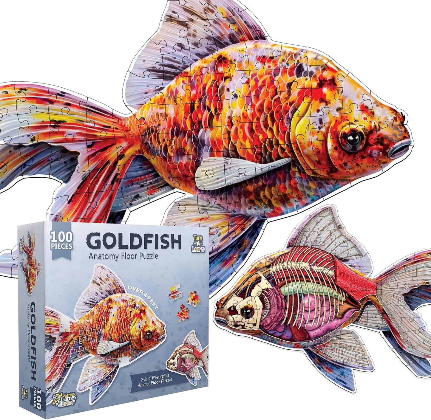 Bullfrog Animal Anatomy Floor Puzzle | 100-Piece Double Sided Jigsaw Puzzle | Large-Sized, Over 4 Feet Scientifically Accurate Illustration of Frog - Fun and Educational Toy for Kids, Toddlers