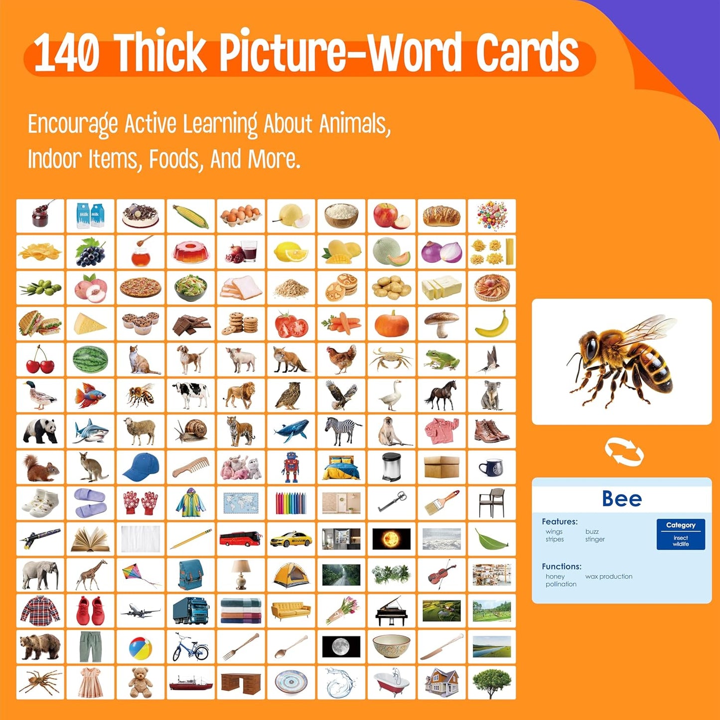 140 Noun Picture-Word Cards, Picture Flashcards Language Builder Visual Aid Speech Development Tool for Autism, ESL Teaching Material Non-Verbal Vocabulary Builder for Children, Kids, Adults (Level 2)