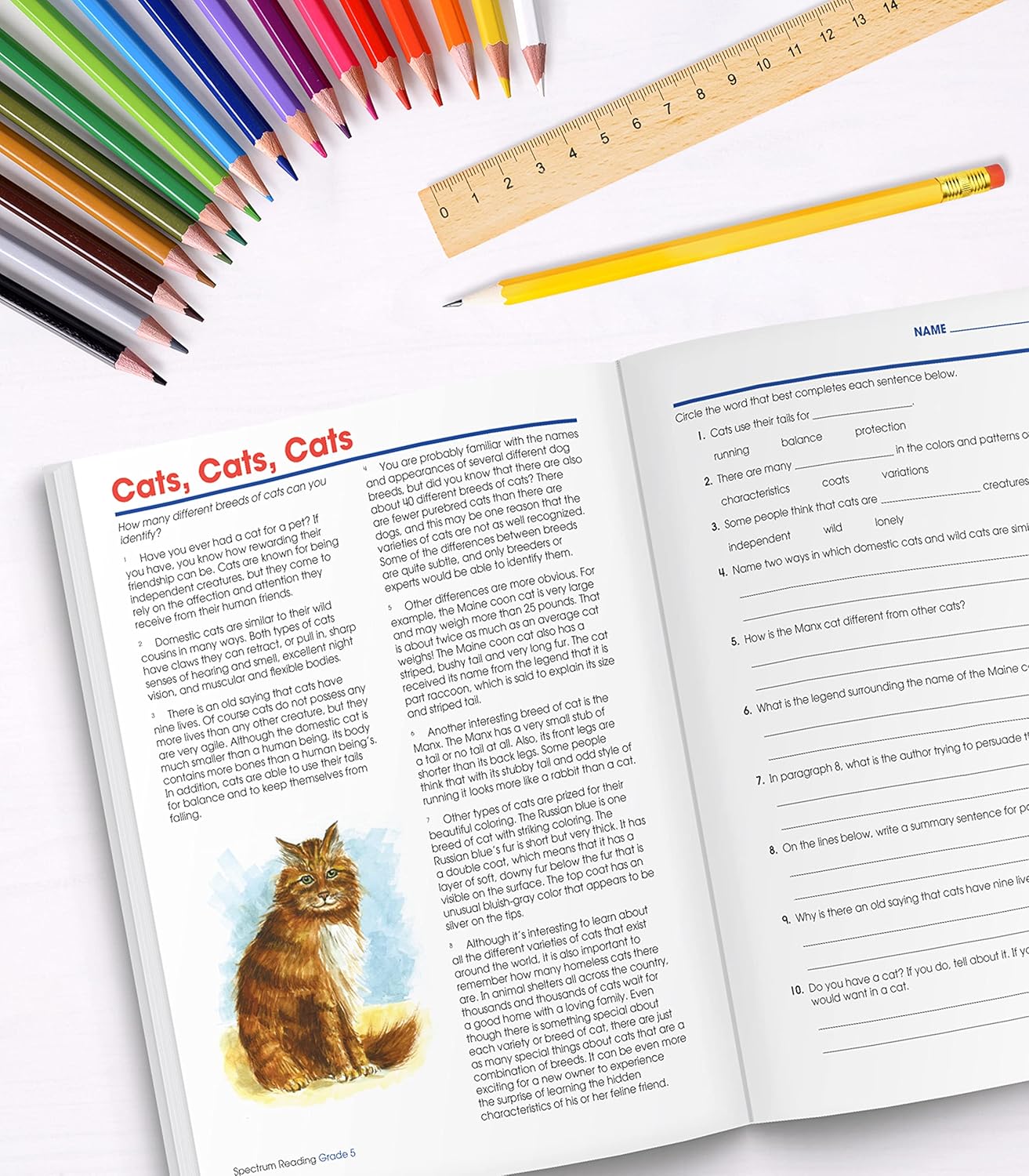 Carson Dellosa 531pc K-2 Literacy Bundle, Kindergarten, 1st Grade, 2nd Grade Phonics Posters, Bulletin Board Sets, Instructional Resources, Dry-Erase Manipulatives, Big Box of Sentence Building Game
