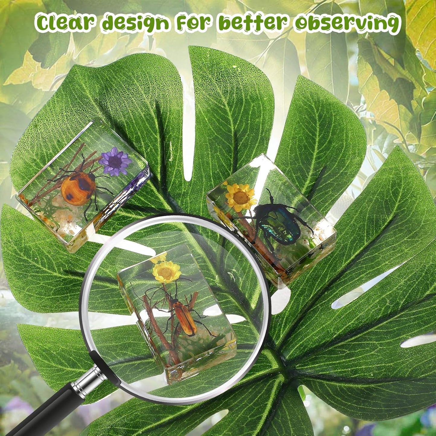 Macarrie 12 Pcs Insect Specimens for Kids Bug Collection Kit Real Specimens of Various Butterflies Beetles Classroom Science Education Animal Collection Bug Preserved Biology(Ladybug)