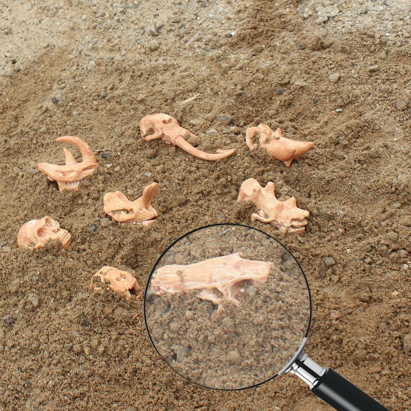 LC JoyCre Mini Dinosaur Bones for Kids Sandbox Toys - Realistic Fake Dinosaur Bones for Kids to Dig Up