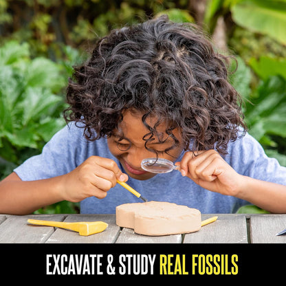 Educational Insights GeoSafari Fossil Excavation Kit, Kids Science Kit, Dinosaur Science Toy, Ages 7+