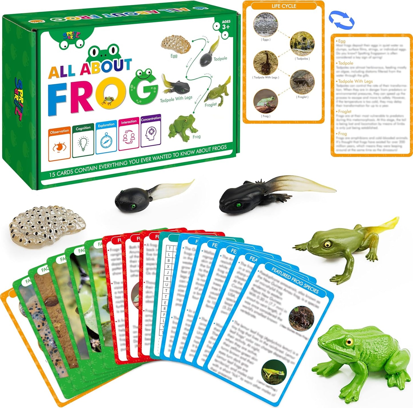 15 Plant Life Circle Flashcards with 4 Plastic Figurines-Seed to Plant, Plants Introduction Card Plants Growth Details for Nature Lovers & Adults, Montessori Toy for Kids