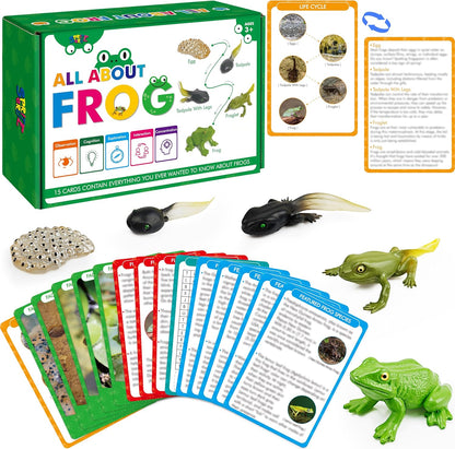15 Plant Life Circle Flashcards with 4 Plastic Figurines-Seed to Plant, Plants Introduction Card Plants Growth Details for Nature Lovers & Adults, Montessori Toy for Kids