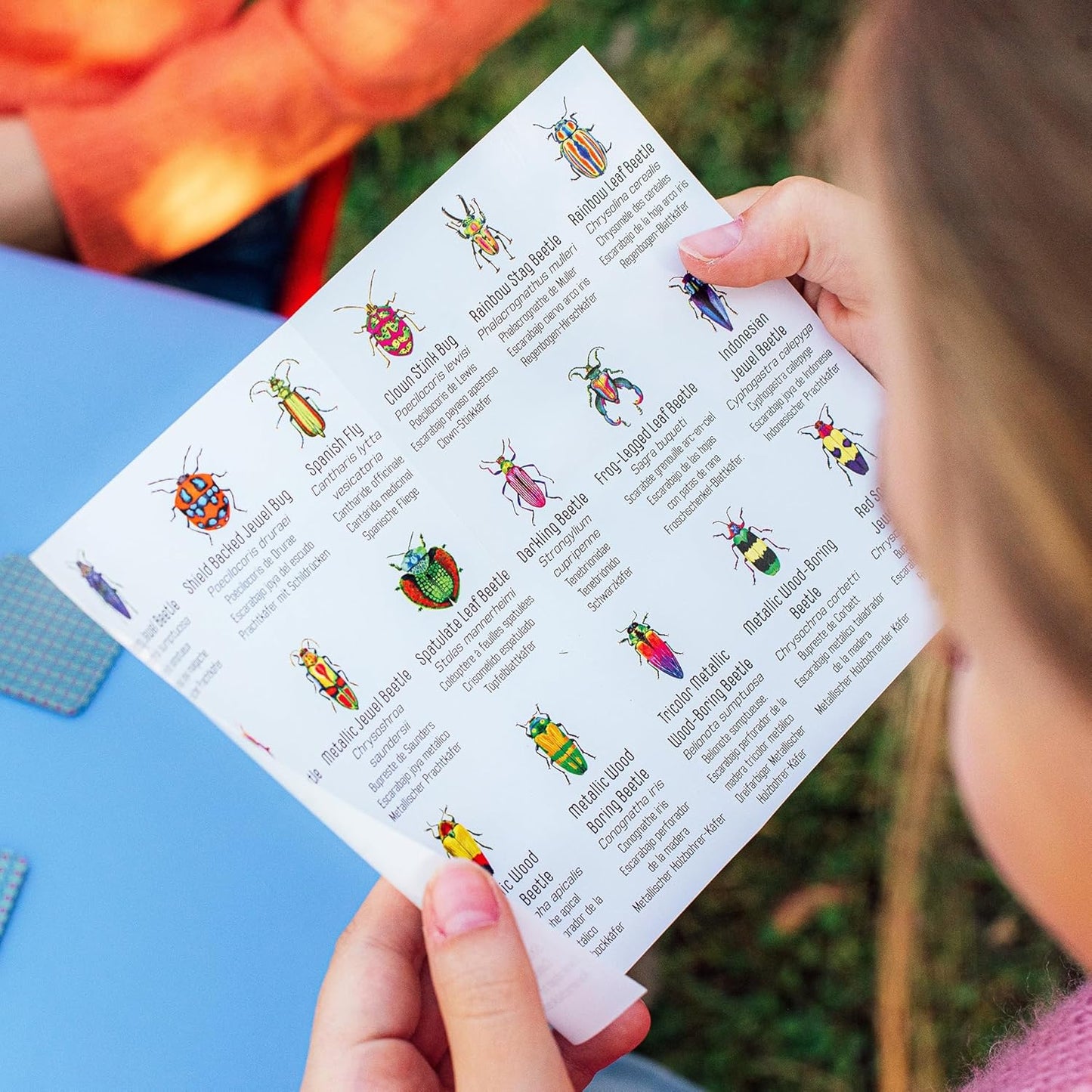 eeBoo: Memory & Matching Game- Little Birds- 18 Illustrated Matching Pairs, Concentration Tile Game, Informational Insert, Kids Ages 4+, 1-4 Players