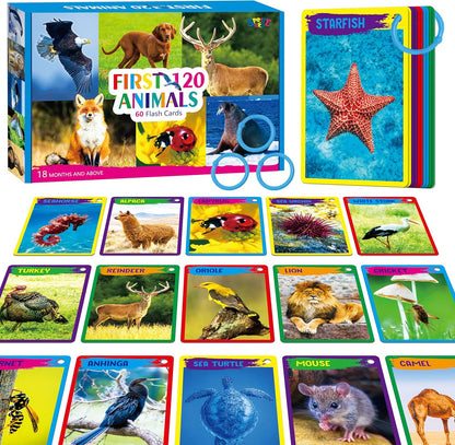 50 PCS Kid First Cognitive Flashcards,Double Sided Printed 7 in 1 Colorful Cards Alphabet,Numbers, Foods,Animals,Shapes,Colors with 3 Reclosable Rings,Learning Tool for Pre-K Kindergarten Toddlers