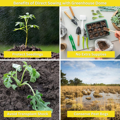 Kids Sunflower Garden Kit – Grow Your Own Sunflowers from Seeds with Greenhouse Germination Domes & Grow Rings, Non-GMO Seeds, BPA-Free | Gardening Gift for Kids & Families, Made in USA