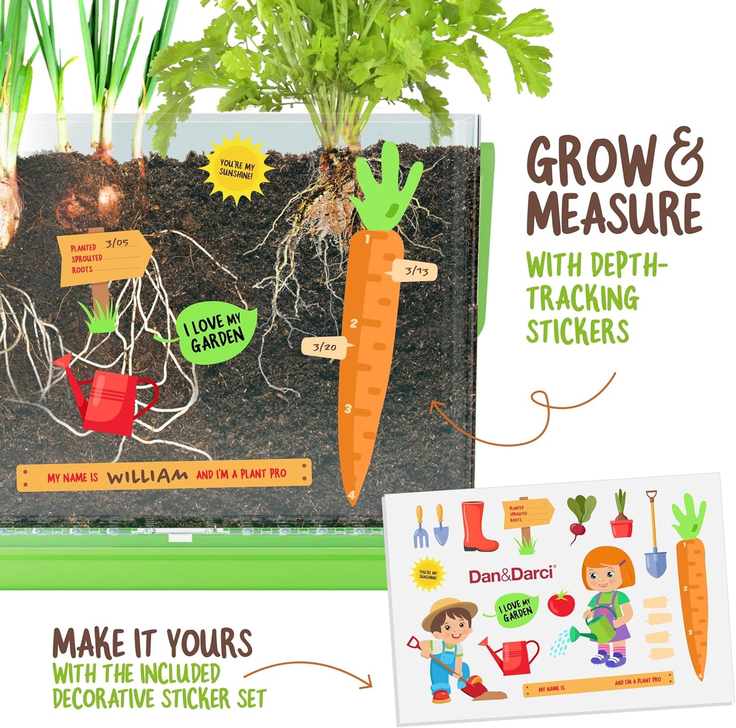 Dan&Darci Root Viewer Kit for Kids - Grow Your Own Plant for Boys & Girls Gifts - Science STEM Toy & Craft Growing Kits for Ages 4-8 Birthday Gifts for Boy, Girl 4, 5, 6, 7, 8, Year Old