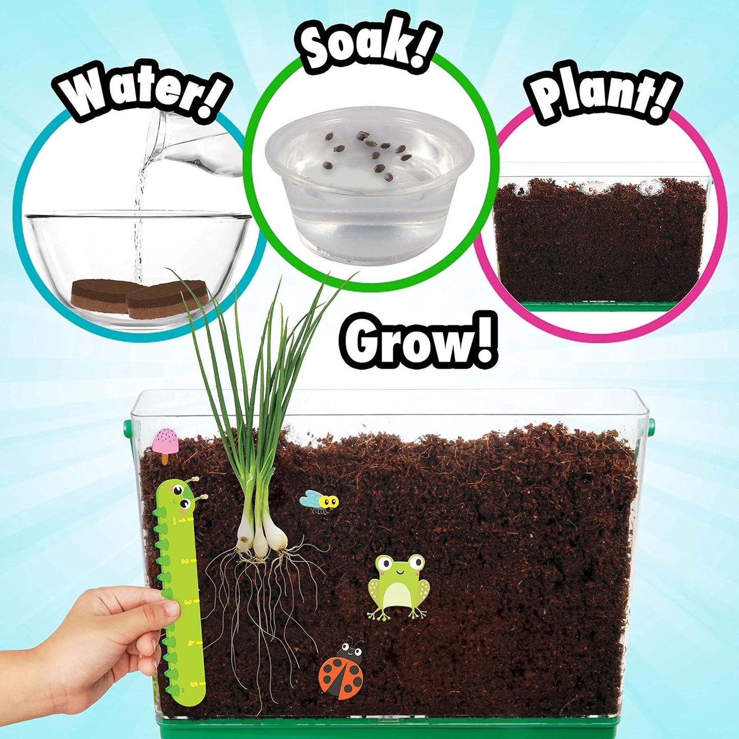 Creative Kids Miracle GRO Dinosaur Garden Kit, Multicolor