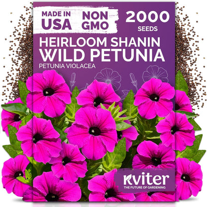 KVITER 5,500 Fairy Bouquet Mix Snapdragon Seeds for Planting (Linaria Maroccana) – Known as Toadflax, Heirloom & Organic – Flower Seeds to Plant Outside & Inside – Garden, Containers, Borders, Beds