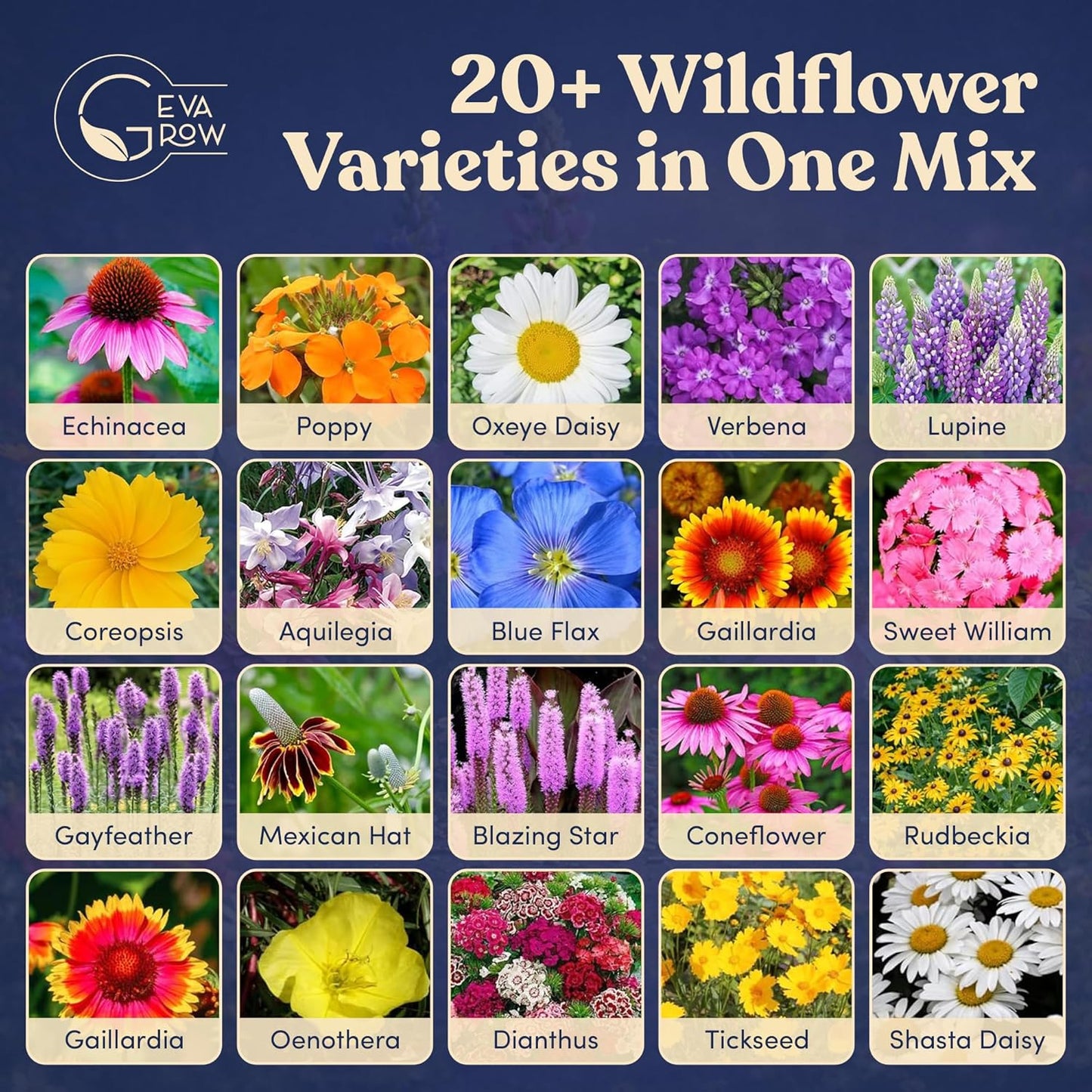 Mini Wildflower Seed Shaker - Save The Bees Seed Mix, by GevaGrow | 80,000+ Seeds | Pollinator & Bee Attracting Flower Seeds Bulk for Planting in Pots & Outdoor Gardens | 2 Ounce