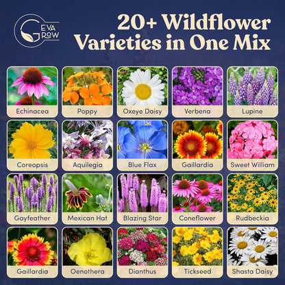 Mini Wildflower Seed Shaker - Save The Bees Seed Mix, by GevaGrow | 80,000+ Seeds | Pollinator & Bee Attracting Flower Seeds Bulk for Planting in Pots & Outdoor Gardens | 2 Ounce