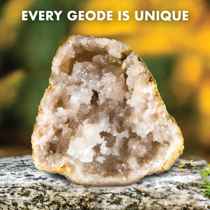 Blue Marble Break Open 2 Jumbo Geodes– Break Your Own Large Geode with Crystals, Earth Science Kit for Kids to Learn Geology, Gifts for Rock Collectors, Cool Rocks for Boys and Girls