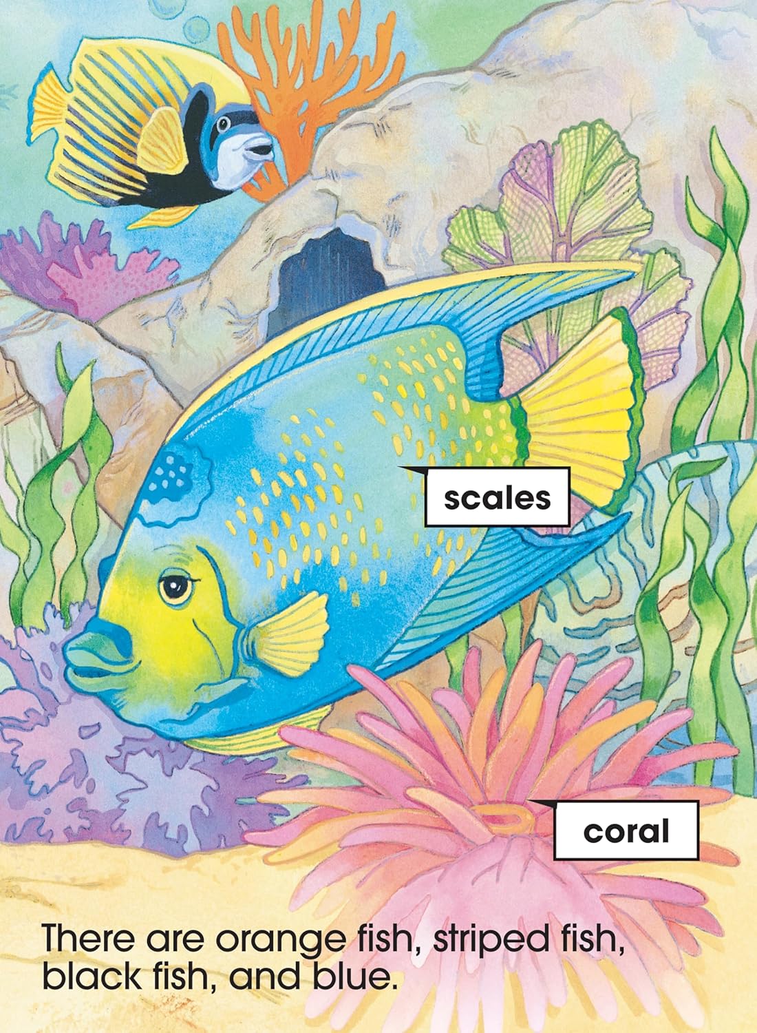 School Zone Underwater, Start to Read! Book Level 1: 16 Pages, Kindergarten, Reading Book, Sight Words, Rhyming, Vocabulary, Sentence Structure, Ages 4-6 (Start to Read! Book Series)