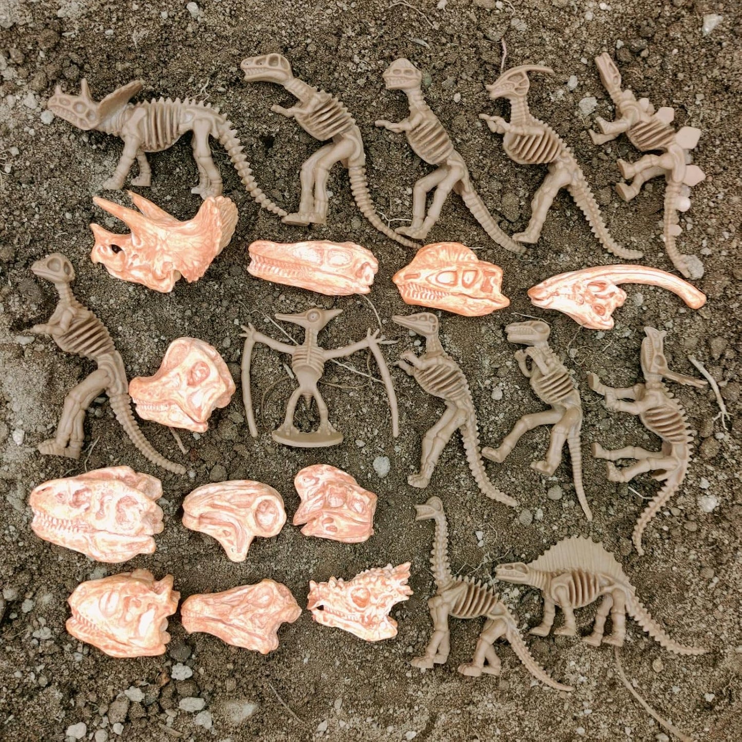 LC JoyCre Mini Dinosaur Bones for Kids Sandbox Toys - Realistic Fake Dinosaur Bones for Kids to Dig Up