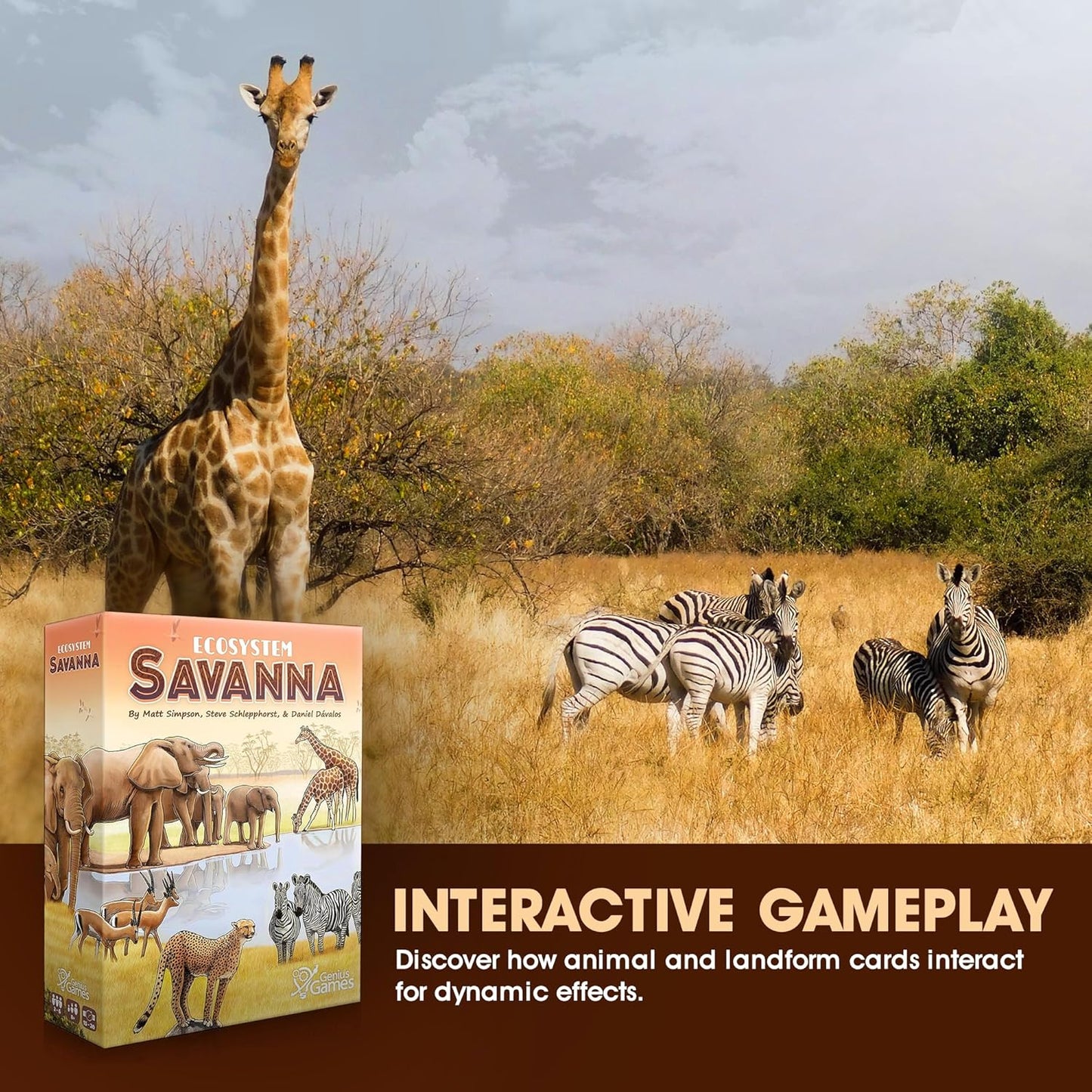Ecosystem - A Family Card Game about Building Habitats | Learn about Animals, Ecology & Biodiversity for Kids, Adults, Families or the classroom! Fun Board Games for Environmental Science Class