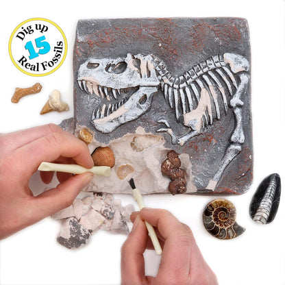 DANCING BEAR Fossil Dig Kit, Excavate 15 Prehistoric Fossils including Real Dinosaur Bones, and Shark Teeth, Paleontology STEM Education for kids, Fun Science Activity Gift Sets for Girls and Boys