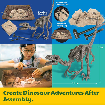 KidzLabs Dig a Pteranodon Skeleton Kit, Fossil Excavation Set, Ages 8+, 1 Piece