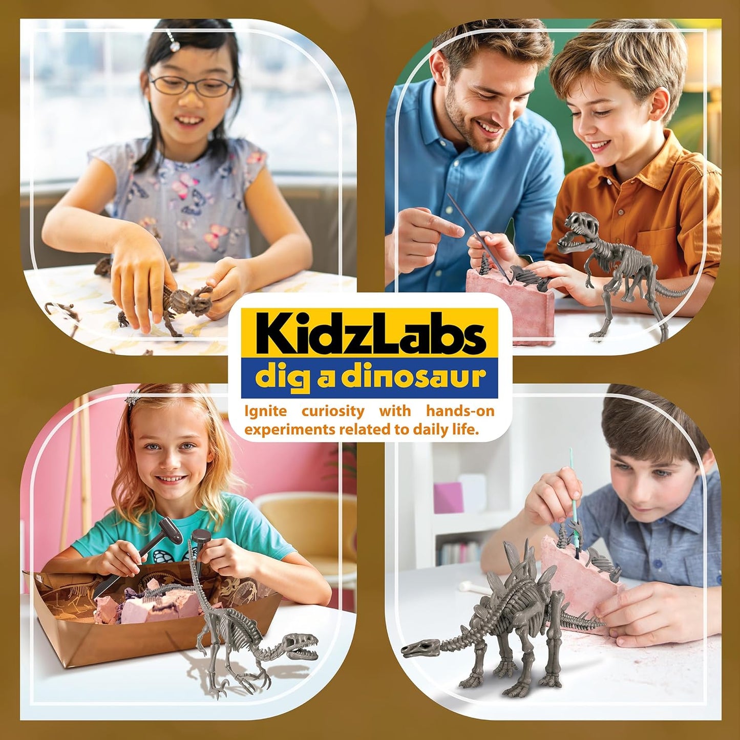 KidzLabs Dig a Pteranodon Skeleton Kit, Fossil Excavation Set, Ages 8+, 1 Piece
