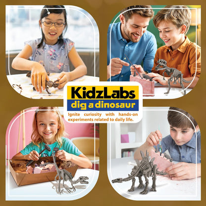 KidzLabs Dig a Pteranodon Skeleton Kit, Fossil Excavation Set, Ages 8+, 1 Piece