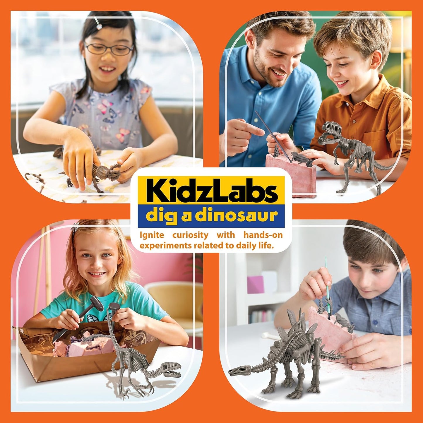 KidzLabs Dig a Pteranodon Skeleton Kit, Fossil Excavation Set, Ages 8+, 1 Piece
