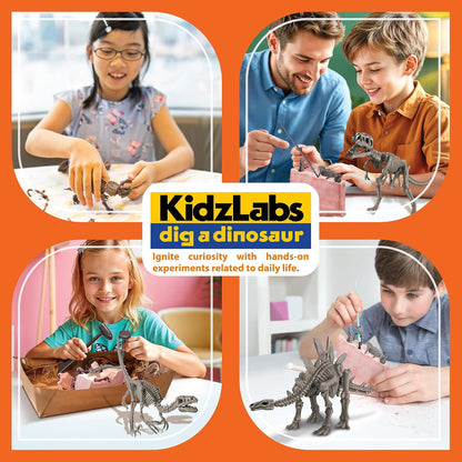 KidzLabs Dig a Pteranodon Skeleton Kit, Fossil Excavation Set, Ages 8+, 1 Piece