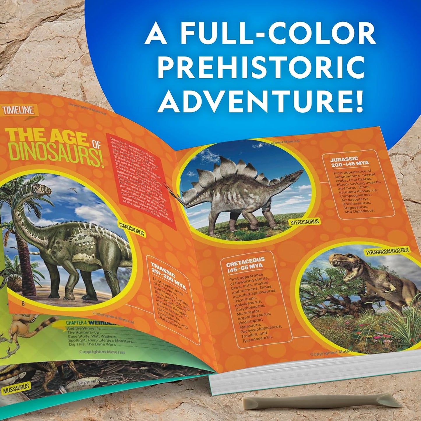 NATIONAL GEOGRAPHIC Dino Fossil Dig Kit & Dinosaur Book for Kids- Excavate a Replica Dinosaur Tooth Fossil and Study Paleontology with a Full-Color Dinosaur Activity Book for Kids (Amazon Exclusive)
