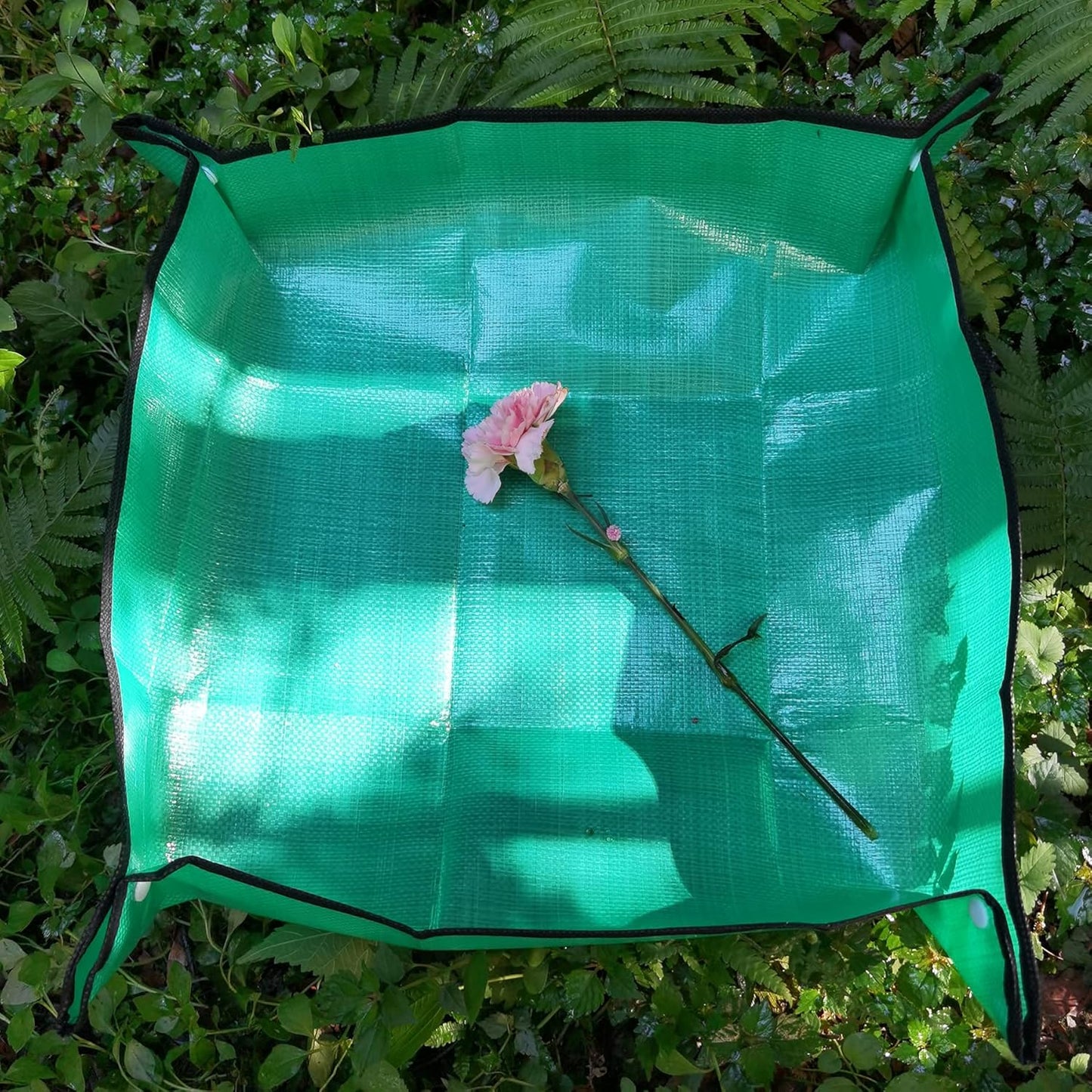 Butterfly Habitat with Poo Poo Platter, Monarch Butterfly Cage with Poo Poo Tray Mat 24 Inches Tall