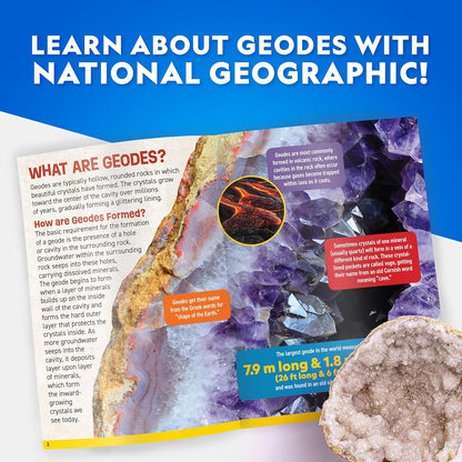 National Geographic Break Open 10 Premium Geodes – Includes Goggles & 2 Display Stands - Great STEM Science Kit, Geology Gift for Kids, Break Your Own Geodes with Crystals
