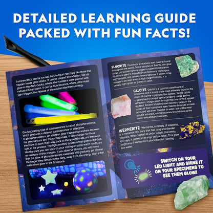 National Geographic Glow in The Dark Dig Kit - Excavate 6 Glow in The Dark Rocks & Dinosaurs from a Glowing Brick, Rock Collection, Science Kits for Kids, Rock Kit for Kids, STEM Kits, Dinosaur Toys