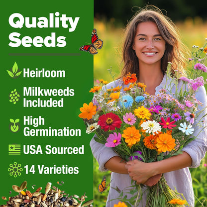 HOME GROWN Milkweed Flower Seeds - 500 & Monarch Butterfly Wildflower 20000