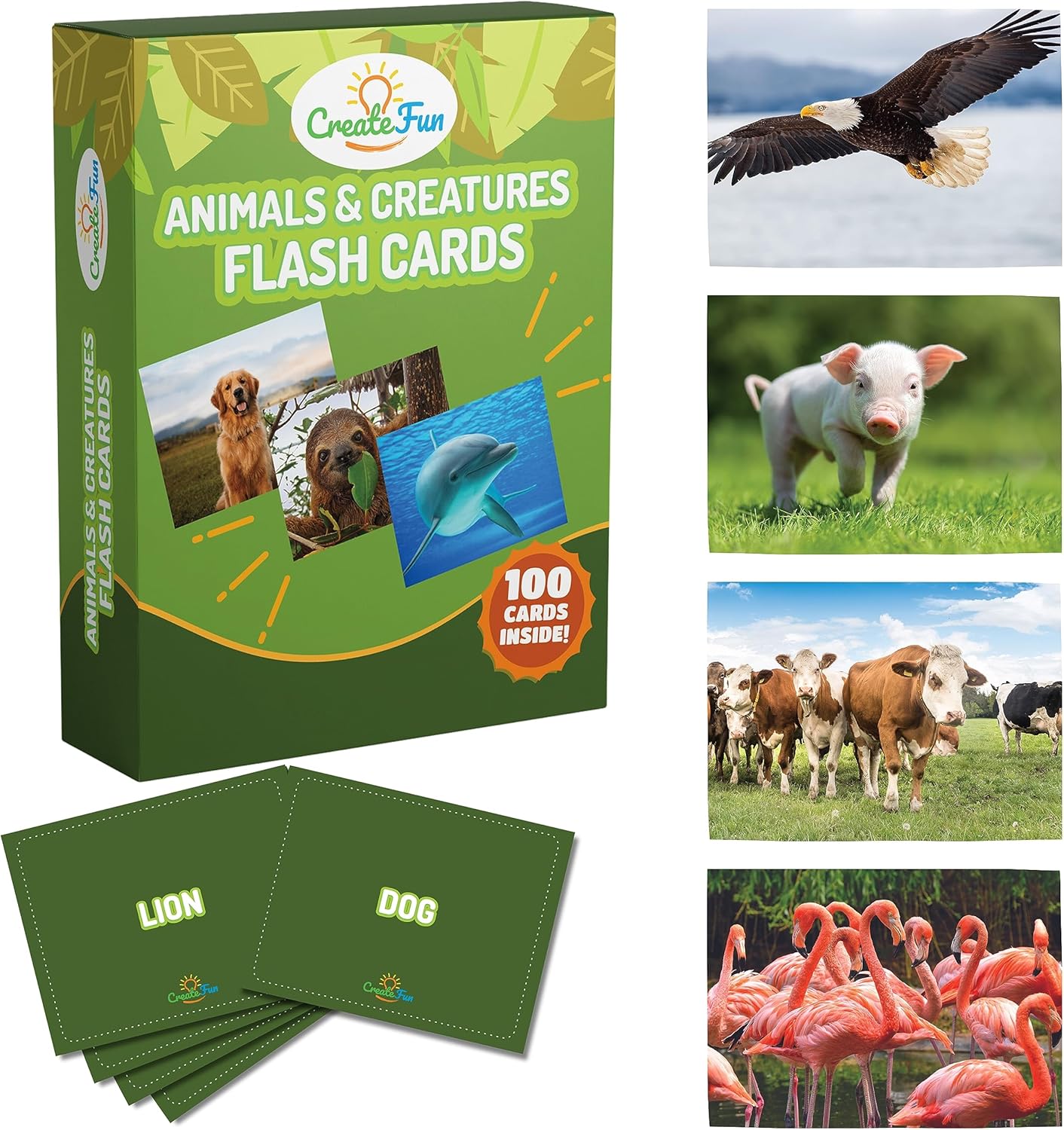 50 Noun Flash Cards, Fun Vocabulary Builder Educational Learning Photo Cards for Kids, Homeschool, Adults, Seniors, Speech Therapy, ESL, Autism, Dementia, Aphasia, SLP, ABA, and Occupational Therapy