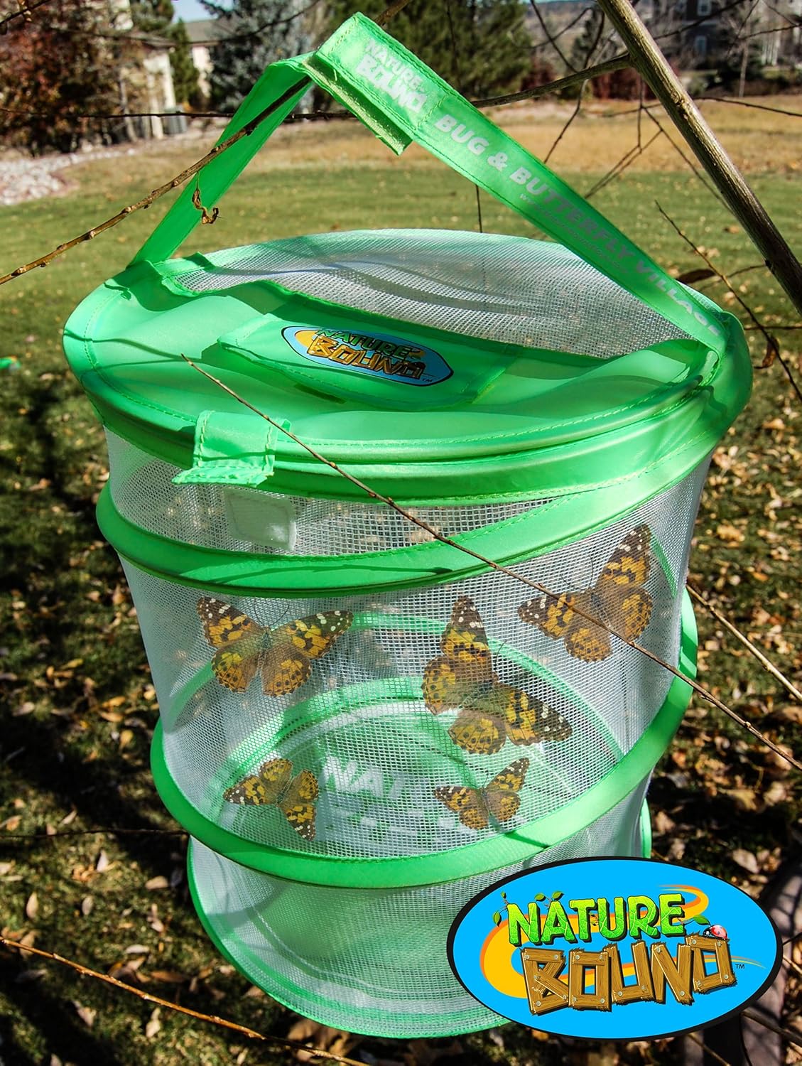 Nature Bound Butterfly Growing Kit - Live Caterpillar to Butterfly Project for Kids - Includes Voucher for Caterpillars, Green Pop-Up Enclosure, and STEM Learning Guide