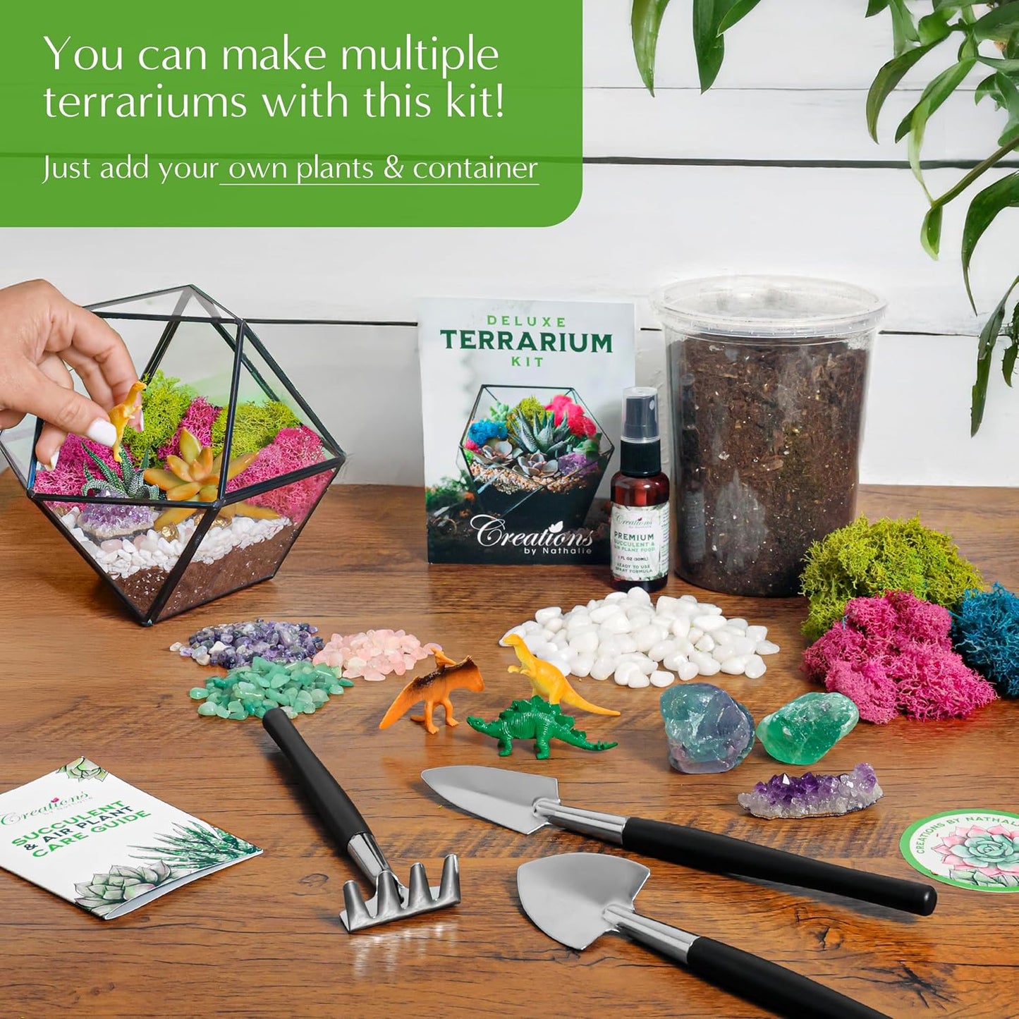 Creations by Nathalie – DIY Large Terrarium Starter Kit with Soil, Moss, Pebbles, Healing Crystal, Tools & Supplies – Terrarium Kit for Adults & Teens, Handcrafted in USA