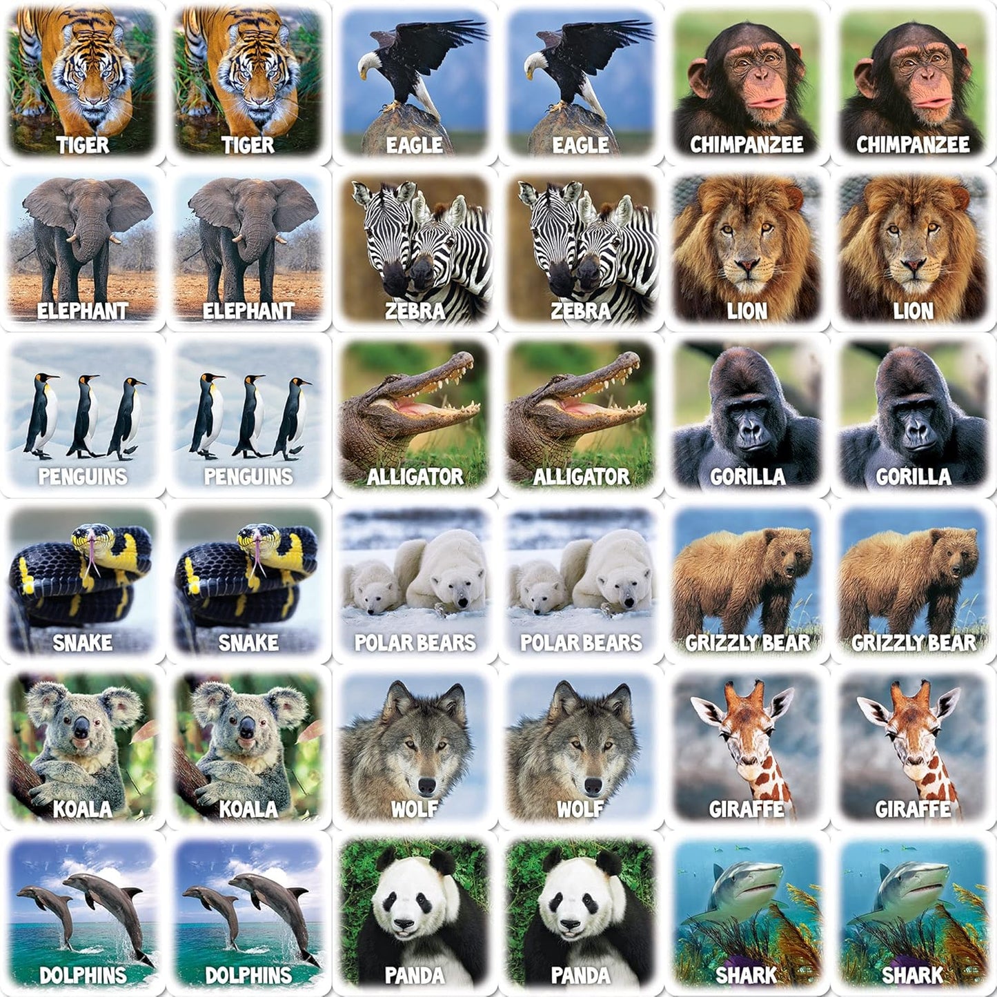 MasterPieces Officially Licensed CAT Picture Matching Card Game for Kids and Families