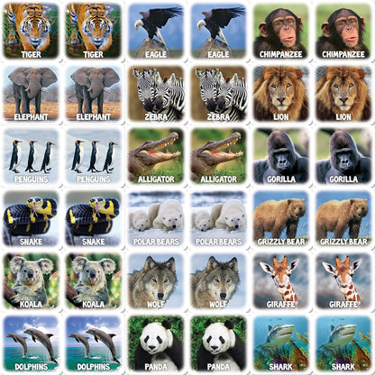 MasterPieces Officially Licensed CAT Picture Matching Card Game for Kids and Families