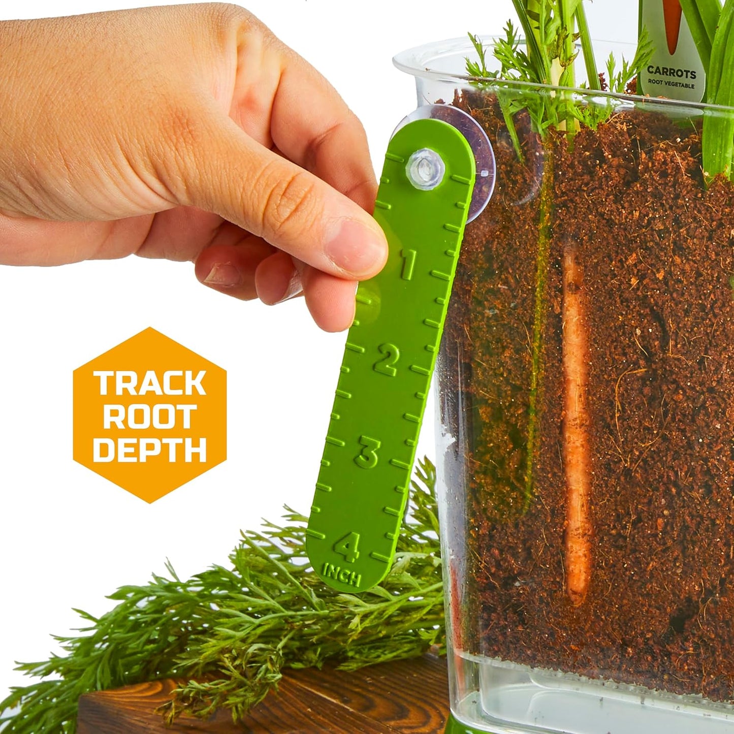 Discovery™ Edible Veggie Garden Watch-It-Grow Kit – DIY STEM Activity for Kids | Grow Carrots, Radishes & Onions| 11-Piece Science Kit with Seeds, Potting Mix & Root Tracker| Learning Toy Gift Ages 6+